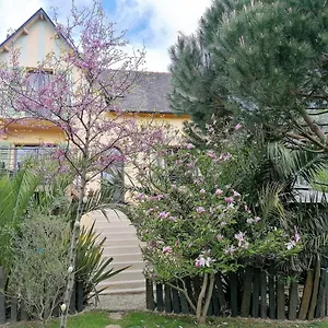 Dans Jardin Exotique Proche D'une Voie Verte Morlaix